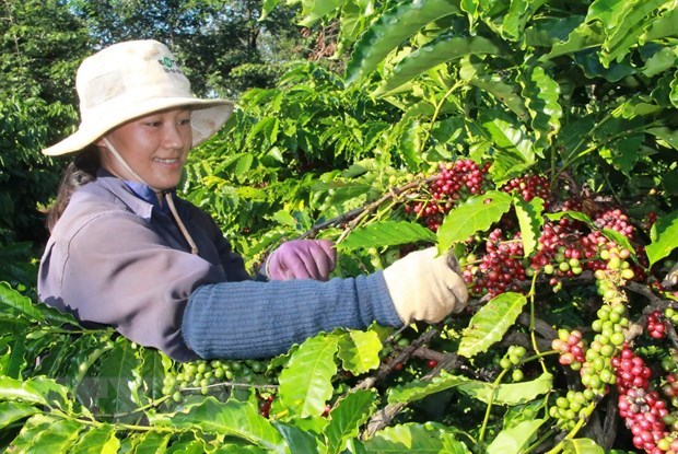 Aider les femmes à développer des moyens de subsistance résilients au changement climatique